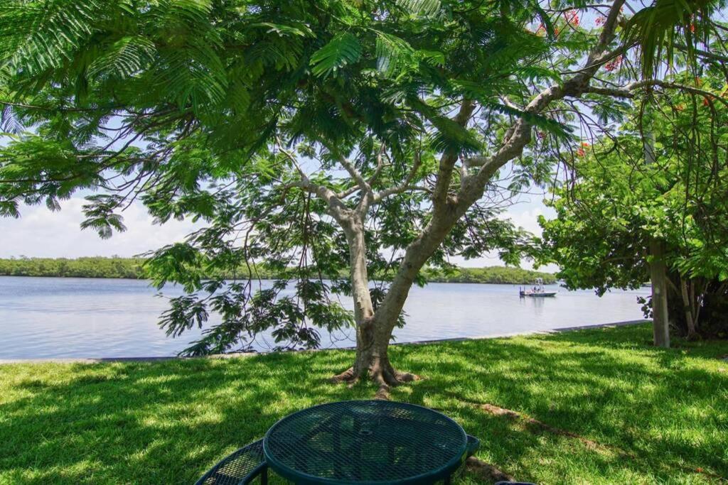 River Delight,Studio109, Beach & Pool Steps Away + Wifi 拉斯金 外观 照片