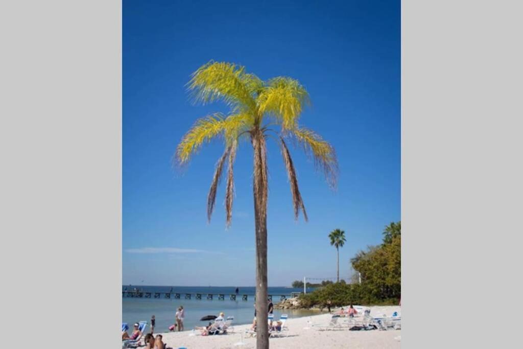 River Delight,Studio109, Beach & Pool Steps Away + Wifi 拉斯金 外观 照片